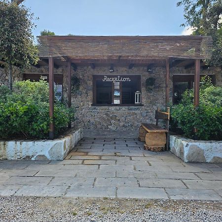 Giannella Camping Ορμπετέλλο Εξωτερικό φωτογραφία