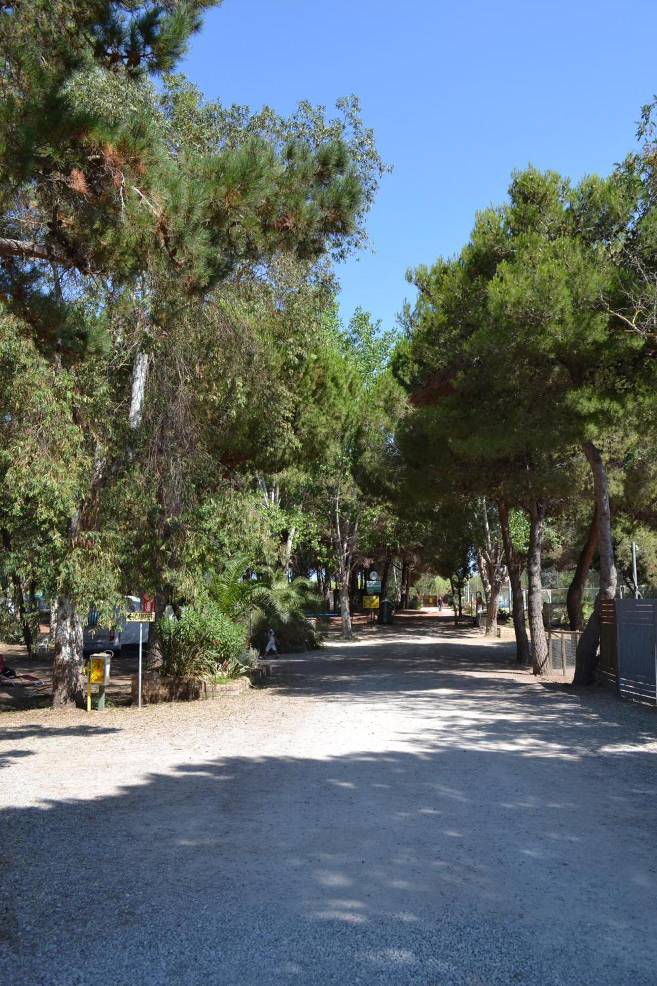 Giannella Camping Ορμπετέλλο Εξωτερικό φωτογραφία
