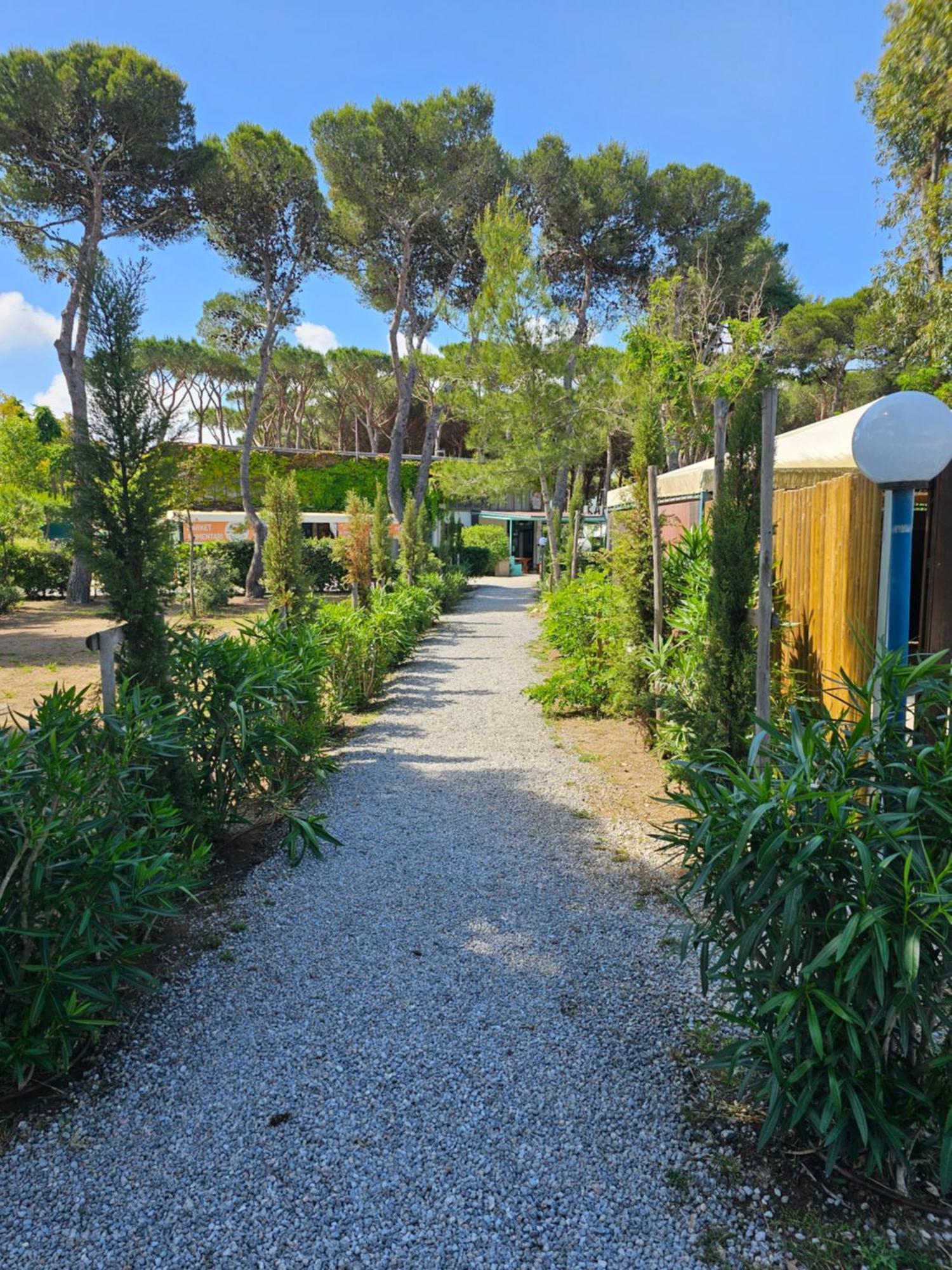 Giannella Camping Ορμπετέλλο Εξωτερικό φωτογραφία