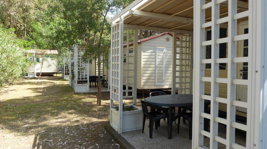 Giannella Camping Ορμπετέλλο Εξωτερικό φωτογραφία